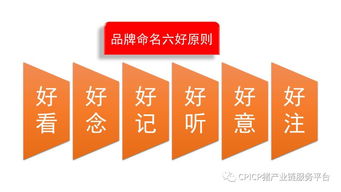 肖一刀 從無到有，打造豬肉品牌的戰略與啟示